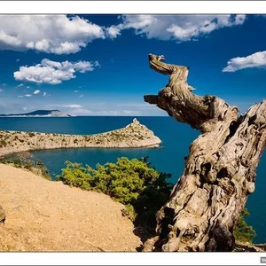 Новые фото http://www.bfoto.ru/new_photo.php