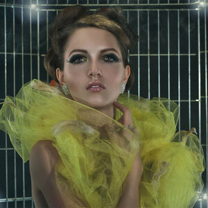 The Canary