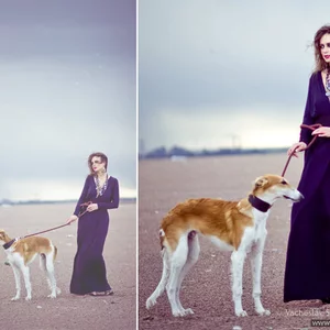 Вячеслав Солнцев's photo