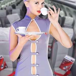 the stewardess