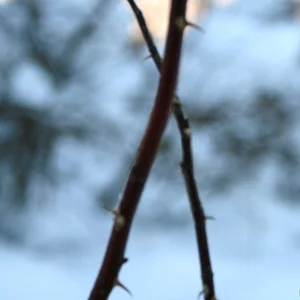Kata Lysakova's photo