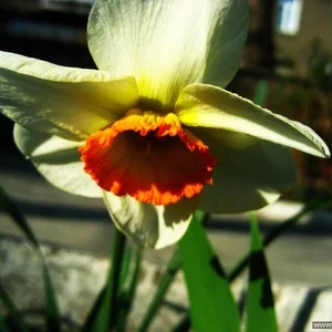 Marina Ganopol'skaa's photo