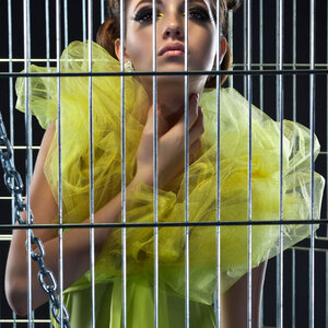 The Canary