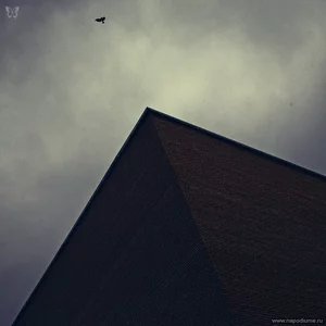 Stas Novikov's photo