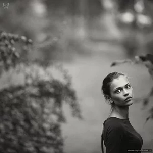 Vladimir Shrubura's photo