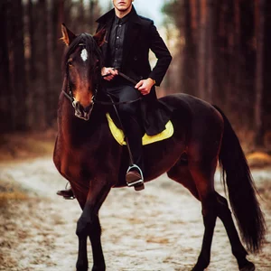 Maksym Tarasenko's photo