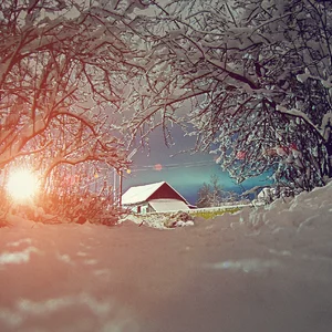 Vasily Kharkovoy's photo