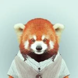 Boris Kir picture