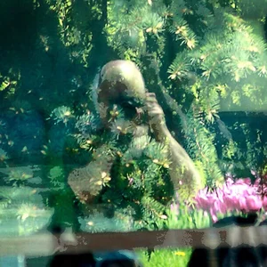 Oleg Agafonov picture