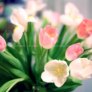 HAPPY SAINT VALENTINE'S DAY