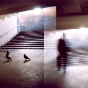 nastya shoshale's photo