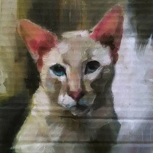 Julia Liverinova's photo