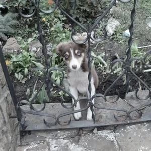 Daria Zhyvchenko's photo