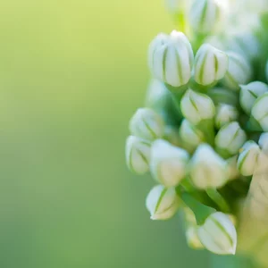 Valentina Valuevskaya's photo