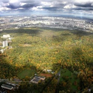 Anna Mavlicenko's photo