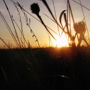 Anna Grechischkina's photo