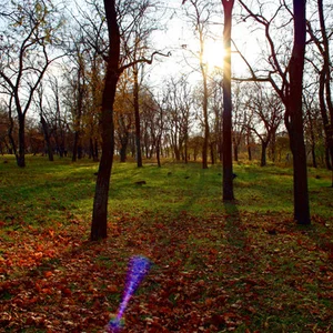 Ana Svec's photo