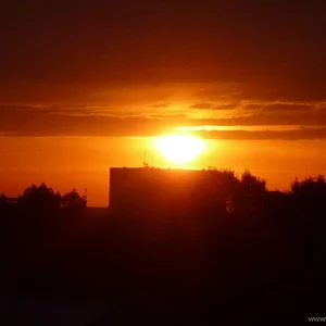 Алина Сорокина's photo