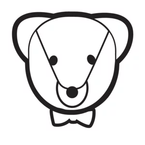 DANDY TEDDY picture