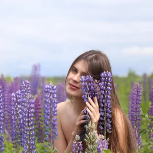 Люпины