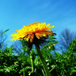 Pavel Fomichev's photo