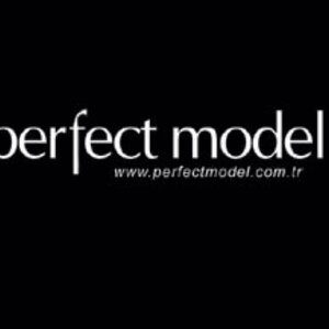 Логотип Perfect model Istanbul