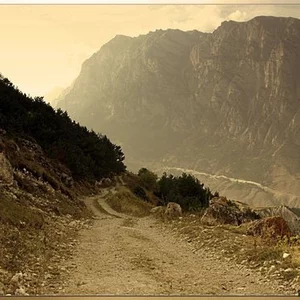 Sergej Saltykov's photo