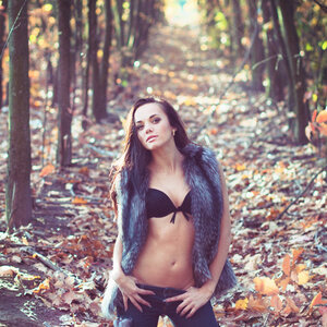 Photo 2088870