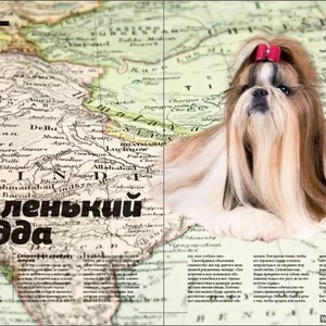журнал "Pets" (рубрика-животные) 16 марта 2009