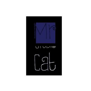 Логотип Photostudio Mr. Cat