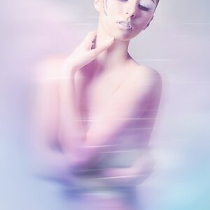 Photo 4202731