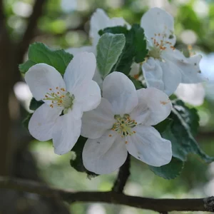 Andrej Batucok's photo