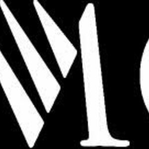 Логотип IMG Models