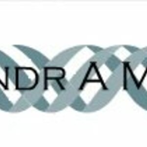 Логотип AlexandrA Models