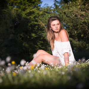 Laurene by Franck Leboulenger