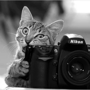 Daniil Varyagov's photo