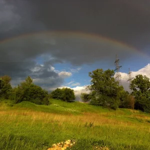 Nika Gorskova's photo