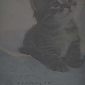 каждый в ответе,за тех..кого приручил!  ведь твои слова,кто то понял и не забыл!