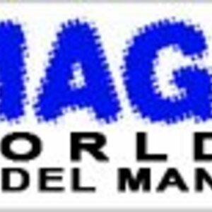 Логотип MAGNET Worldwide Model Management