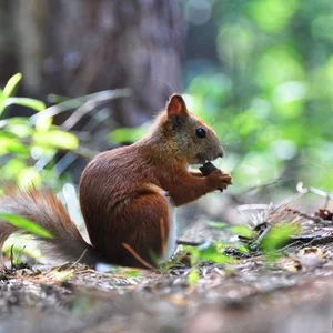 Viktoria Krasnosek's photo