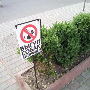Vasiliy Nevazhno's photo
