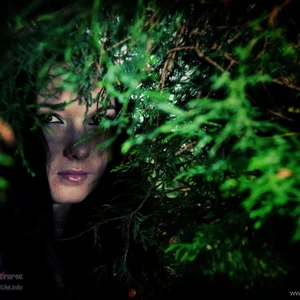 Oleg Komarcuk's photo