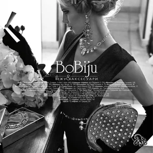 BoBiju Campaign, Winter 2012/13