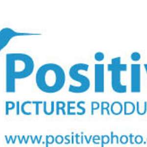Логотип ООО &quot;Positive pictures&quot;