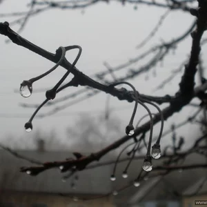Inna Milaevskaya's photo
