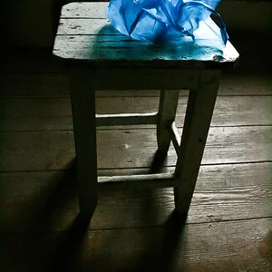 Foto von Alla Polchaninova