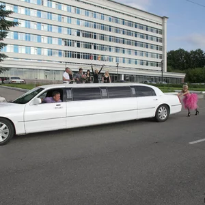 Владимир Матвеев's photo