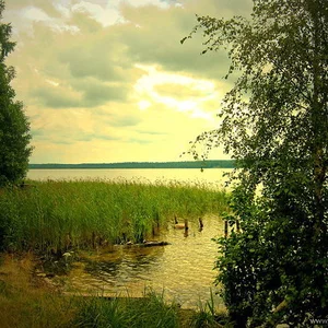 Anna Rzhevskaya's photo