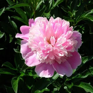 Oksana Korobkova's photo