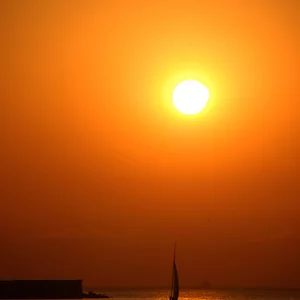 Sasa Flok's photo